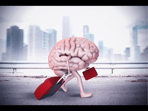 Human Flight and Brain Drain